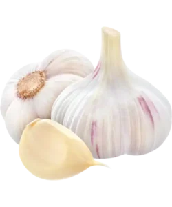 garlic Ingredients