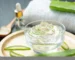 Aloe Vera Juice: Health Benefits and Daily Use