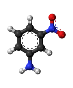 Chondroitin, Glucosamine & MSM ingredient