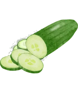Cucumber Extract