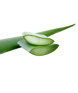 Aloe Barbadensis Leaf Juice