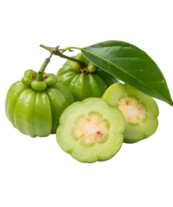 Garcinia Cambogia
